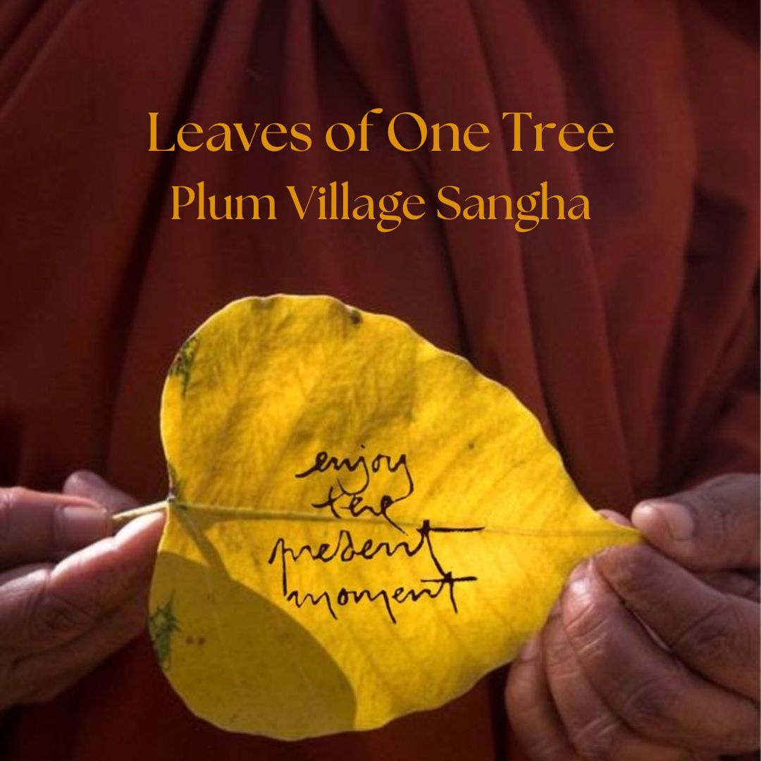 Maitri Studio, Belfast, meditation sit, in person, leaves of one tree, plum village, sangha